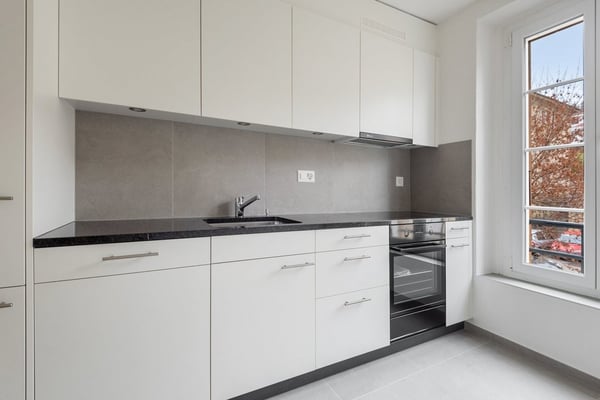 1 pièces entièrement rénové 3