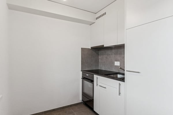 Appartement de 2 pièce rénové 3