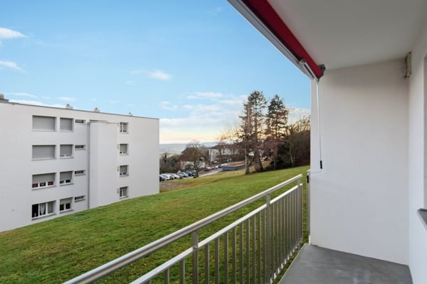 Appartement de 2 pièce rénové 1