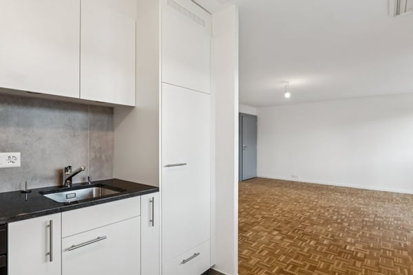 Appartement de 2 pièce rénové 4