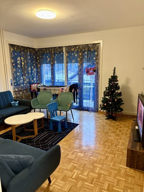 Magnifique appartement rénové dans un quartier calme 8