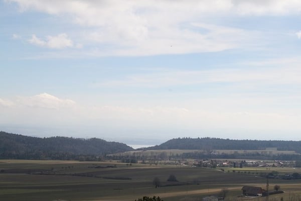 Appartement 1 pièces 3