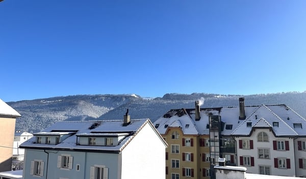 Appartement de 4 pièces rénové dans un quartier calme et ensoleillé 9