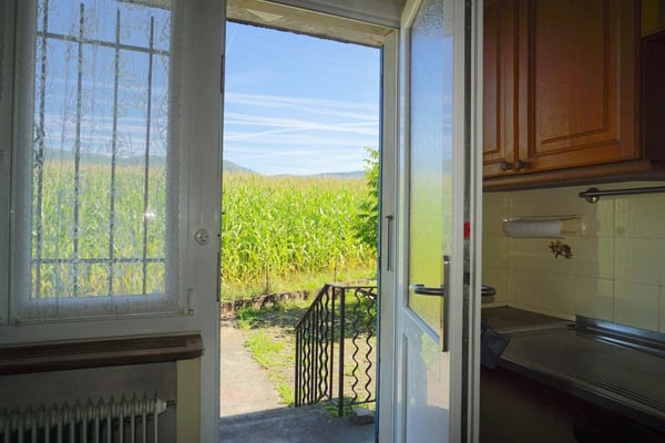 ARI-242 Maison de 2 appartements sur une parcelle de 1'485 m2 15