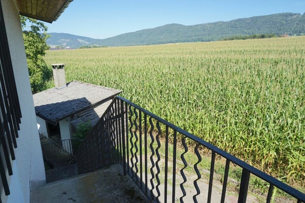 ARI-242 Maison de 2 appartements sur une parcelle de 1'485 m2 30