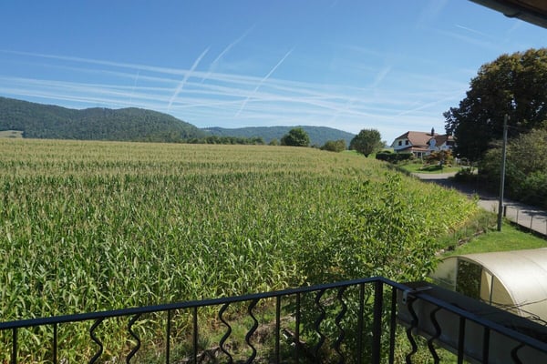 ARI-242 Maison de 2 appartements sur une parcelle de 1'485 m2 31