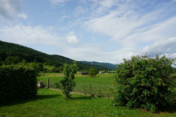 ARI-236 - Rendement - Très belle maison de 2 appartements de 4,5 et 3,5 pièces sur une parcelle de 1'134 m2. copie 4