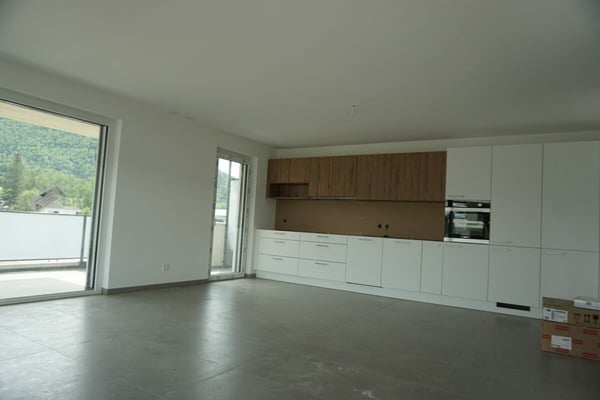 Appartement de 4,5 pièces - Surface nette de 105 m2 - Terrasse de 47 m2 - orienté nord-est 1