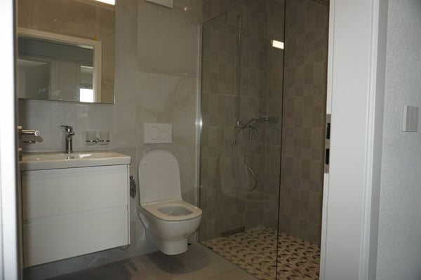 Appartement de 4,5 pièces - Surface nette de 105 m2 - Terrasse de 40 m2 - orienté ouest-nord/ouest 6