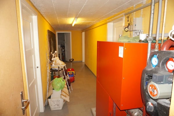 ARI-212 - Immeuble mixte de 250 m2 sur une parcelle de 723 m2 à Bassecourt 22