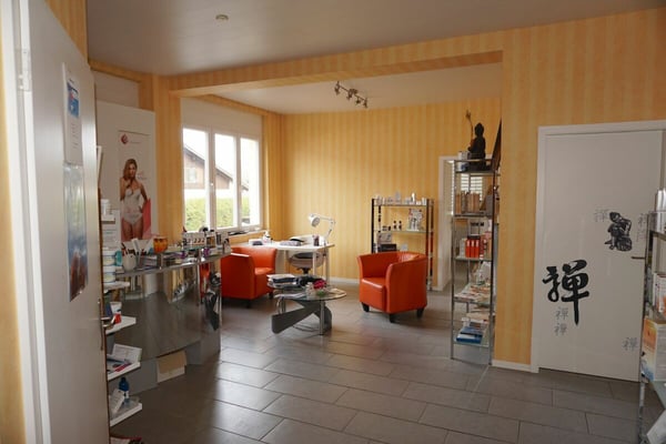 ARI-212 - Immeuble mixte de 250 m2 sur une parcelle de 723 m2 à Bassecourt 11