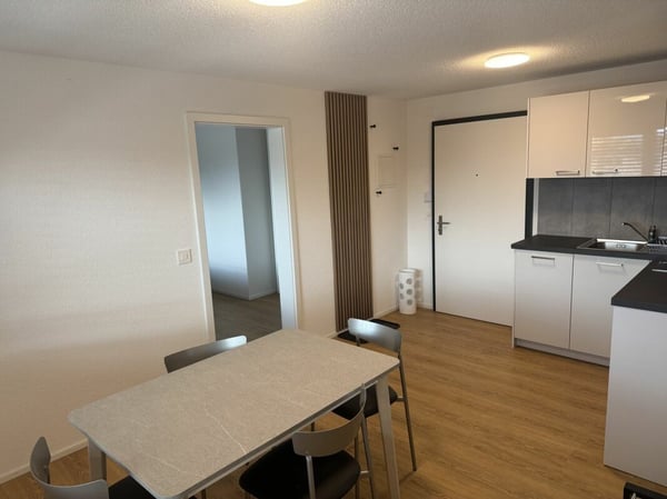ARI-0826 - Appartement moderne de 2,5 pièces avec colonne de machines à laver/à sécher - Reprise de bail 1