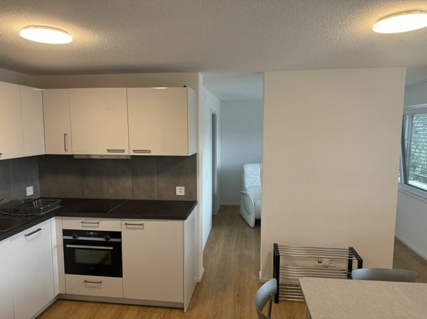 ARI-0826 - Appartement moderne de 2,5 pièces avec colonne de machines à laver/à sécher - Reprise de bail 2
