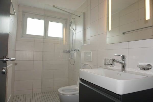 ARI-236 - Très belle maison de 2 appartements de 4,5 et 3,5 pièces sur une parcelle de 1'134 m2. 15