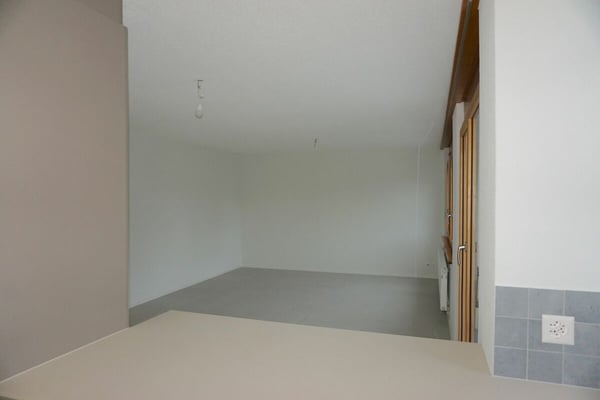 ARI-249 Magnifique appartement rénové de 4,5 pièces avec parking 6