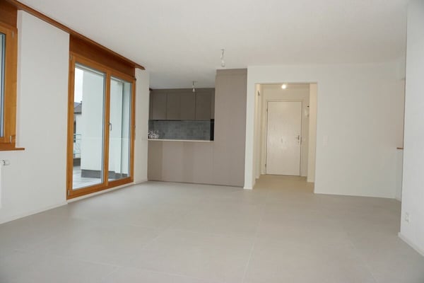 ARI-249 Magnifique appartement rénové de 4,5 pièces avec parking 2
