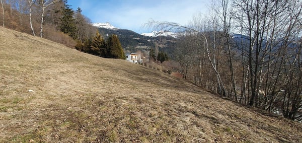 TERRAIN À VENDRE AVEC PERMIS EN FORCE À MOLLENS - CRANS-MONTANA 3