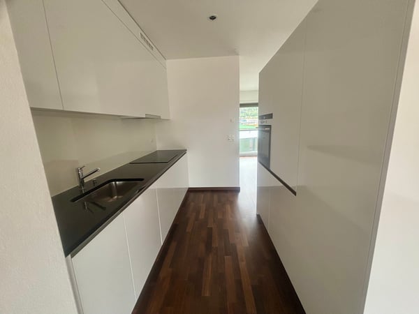 Lichtdurchflutetes Wohnen zwischen Limmat und Dietikon Zentrum 3