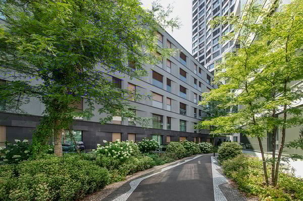 Lichtdurchflutetes Wohnen zwischen Limmat und Dietikon Zentrum 2