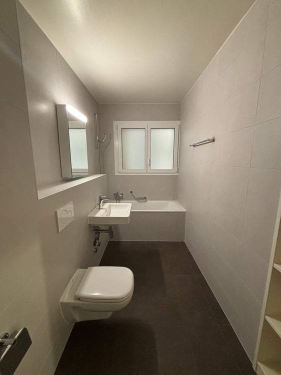 Spacieux 1.5 pces fraîchement rénové 5