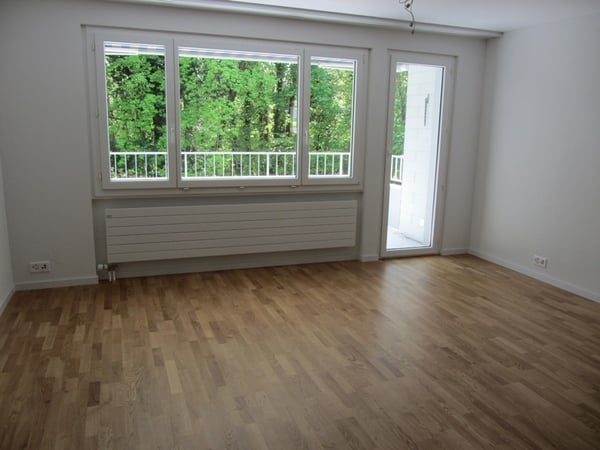 Ruhige Wohnlage an der Limmat 4