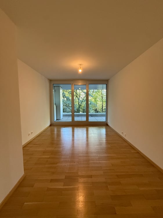 Appartement de 6.5 pièces à Bouchet 8