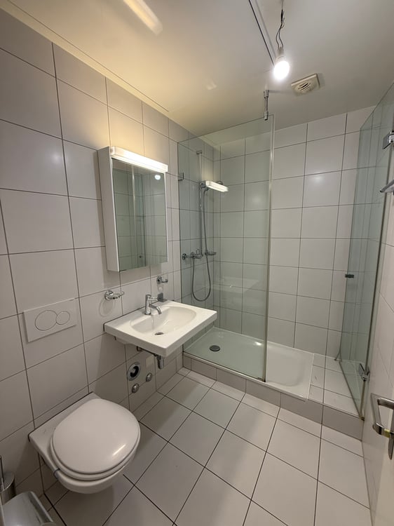 Appartement de 6.5 pièces à Bouchet 9