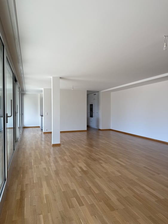 Appartement de 6.5 pièces à Bouchet 2
