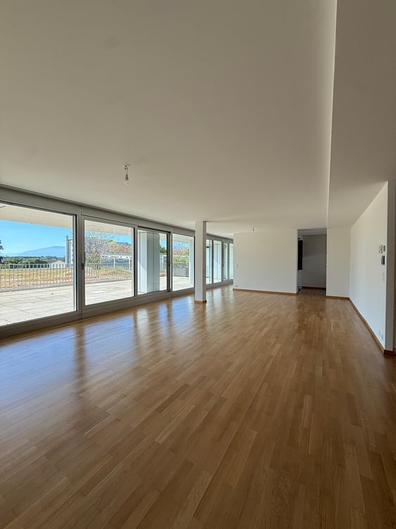 Appartement de 6.5 pièces à Bouchet 1