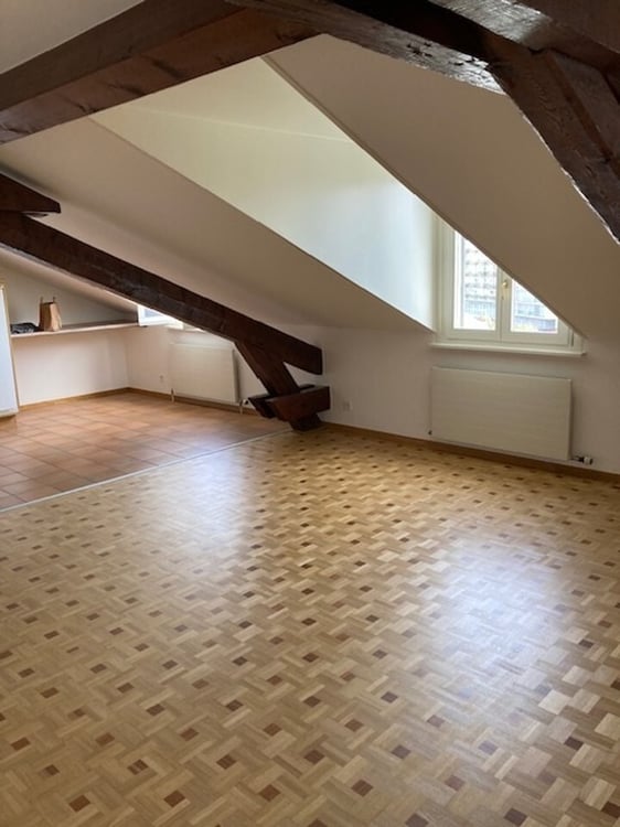 Appartement de 4.5 pièces au 5ème étage - Plainpalais 3