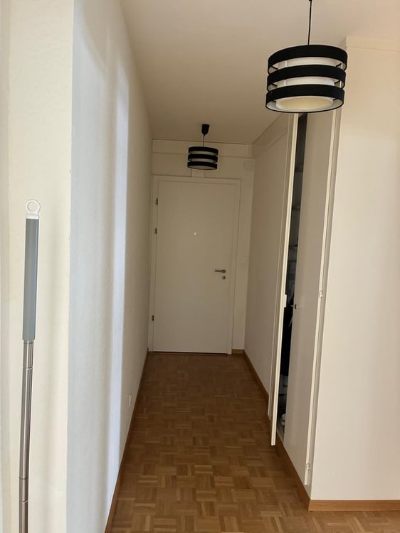 Appartement de 4 pièces lumineux aux Pâquis 8