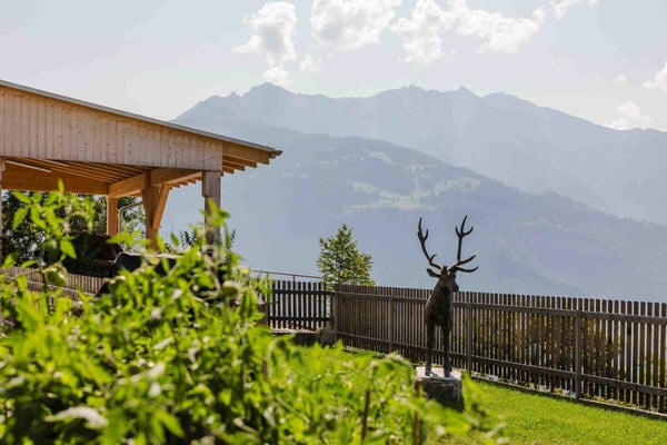 Tradition trifft Moderne - 6.5 Zi-EFH mit 3.5 Zi-Einliegerwohnung mit Bergpanorama in Ruschein 11