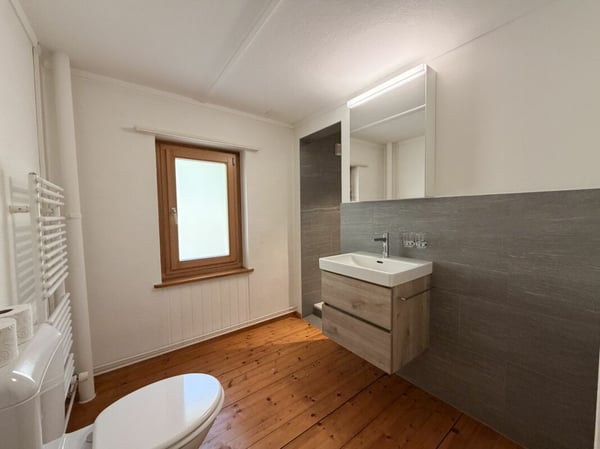 Tradition trifft Moderne - 6.5 Zi-EFH mit 3.5 Zi-Einliegerwohnung mit Bergpanorama in Ruschein 4