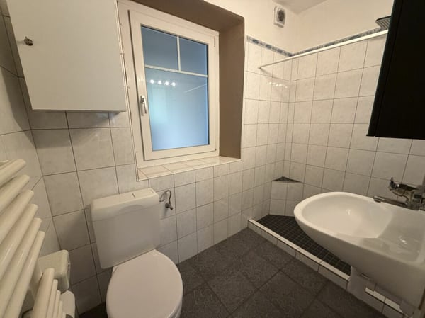 Einfamilienhaus in Chur, Meiersboden mit Entwicklungspotenzial 8