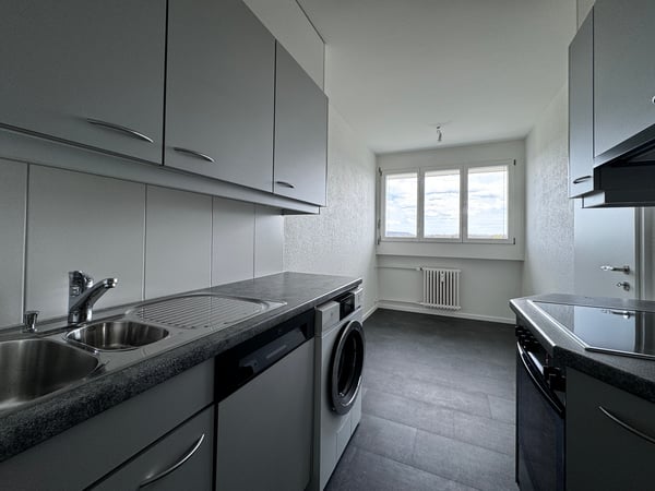 Leben nah an der Birs in einem belebtem Quartier! 2