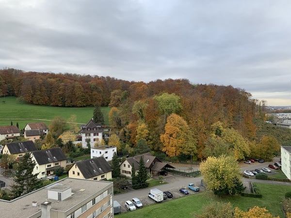 zentrale Wohnung mit Aussicht 10