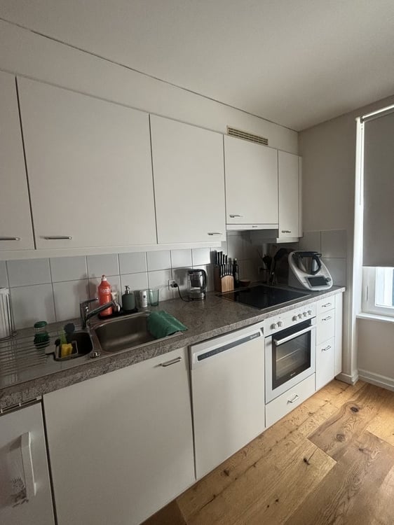 Urbanisierte Wohnung im Herzen von Basel 7