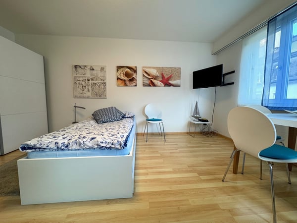 attraktive möblierte und ausgestattete 1-Zimmerwohnung 1