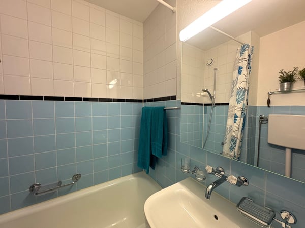 attraktive möblierte und ausgestattete 1-Zimmerwohnung 6