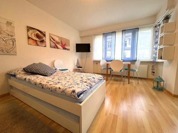 attraktive möblierte und ausgestattete 1-Zimmerwohnung 4