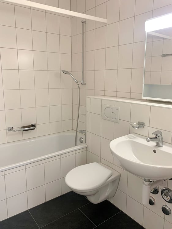 Attikawohnung mit grossem Balkon 4