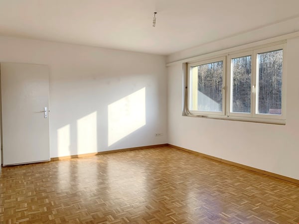 Attikawohnung mit grossem Balkon 5