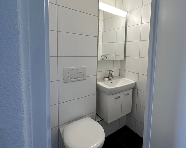 Grosszügige 3-Zimmerwohnung im Grünen 5