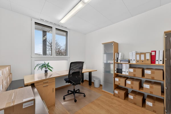 Bürohaus / Praxis / Atelier / Wohnhaus in Hergiswil 5