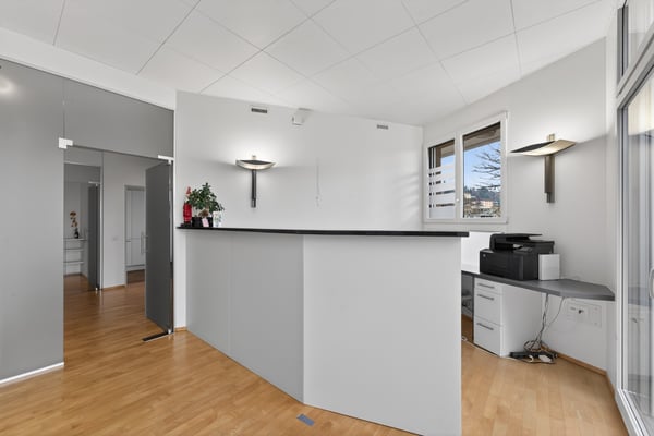 Bürohaus / Praxis / Atelier / Wohnhaus in Hergiswil 11