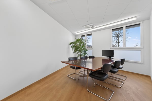 Bürohaus / Praxis / Atelier / Wohnhaus in Hergiswil 3