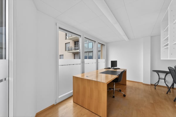 Bürohaus / Praxis / Atelier / Wohnhaus in Hergiswil 2