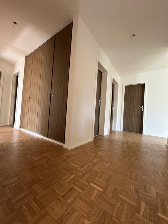 Traumhafte Weitsicht Ihr neues Zuhause in Emmen 7