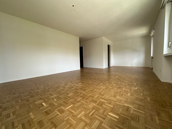 Traumhafte Weitsicht Ihr neues Zuhause in Emmen 5