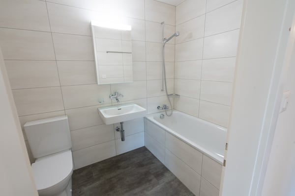3 Zimmer-Wohnung, 6005 Luzern 6
